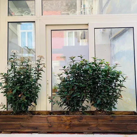 Daire La Casa Di Apollo Napoli